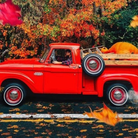 Meet your Posher, Randy - Picture 1 of 1